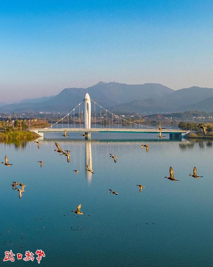 澳门新葡新京在线