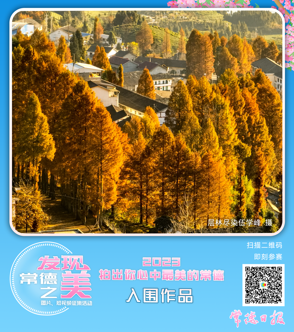 澳门新葡新京在线