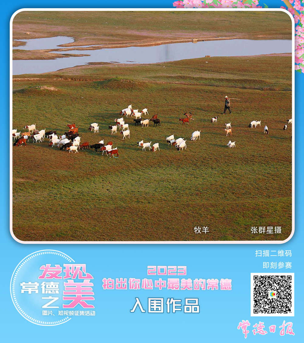 澳门新葡新京在线