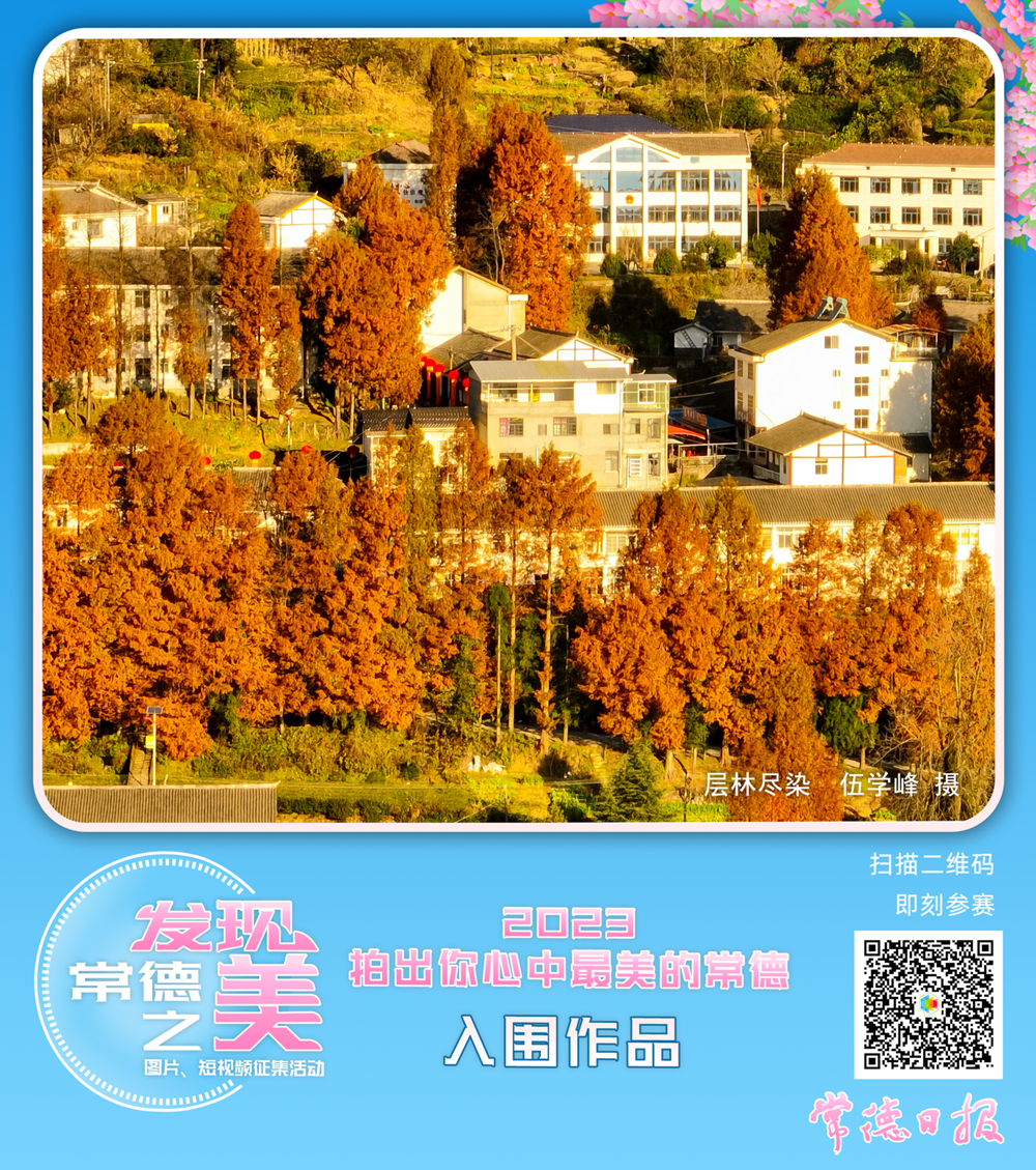 澳门新葡新京在线