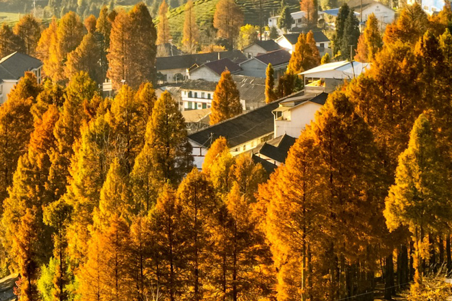 澳门新葡新京在线