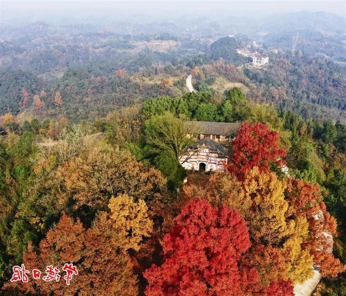 澳门新葡新京在线