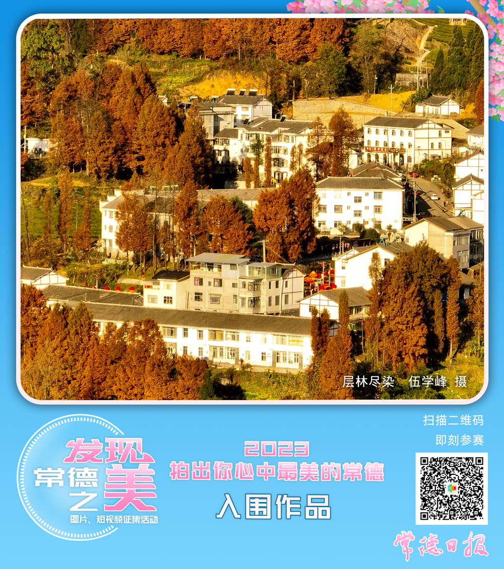 澳门新葡新京在线