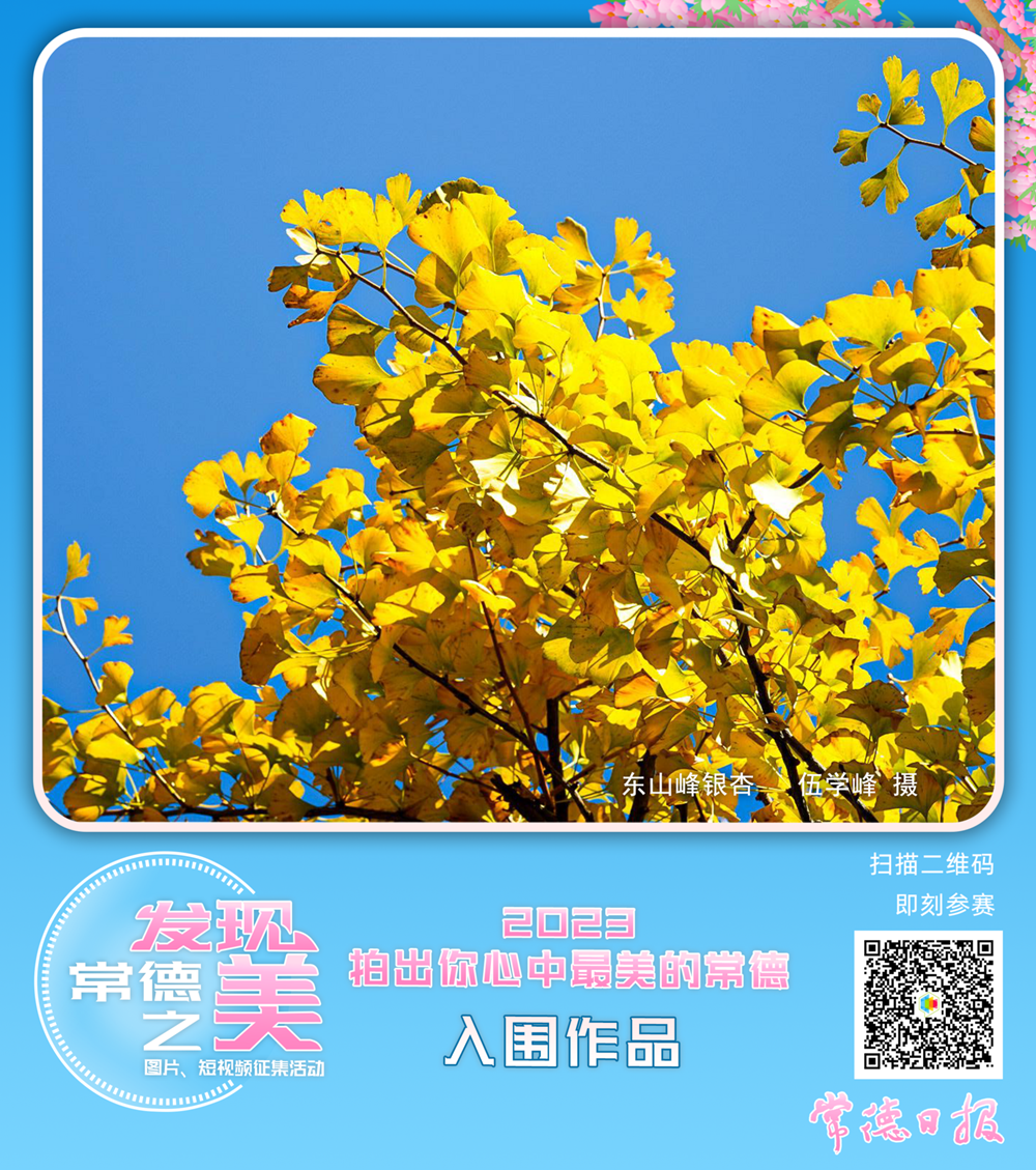 澳门新葡新京在线