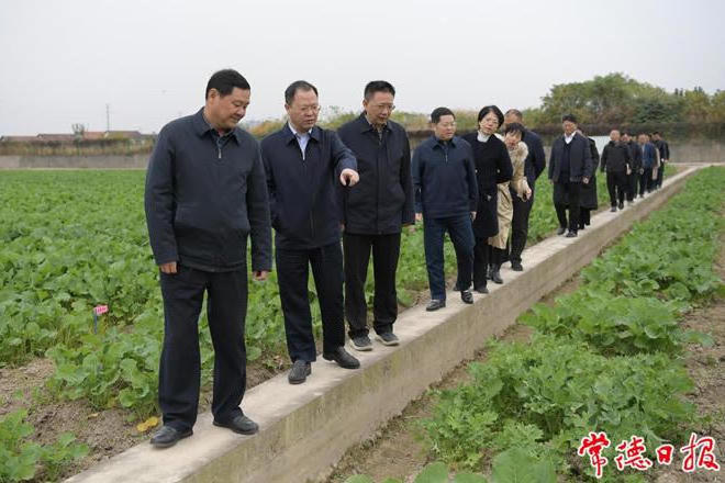 澳门新葡新京在线