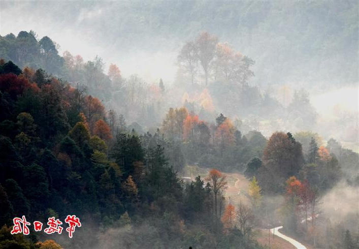 澳门新葡新京在线