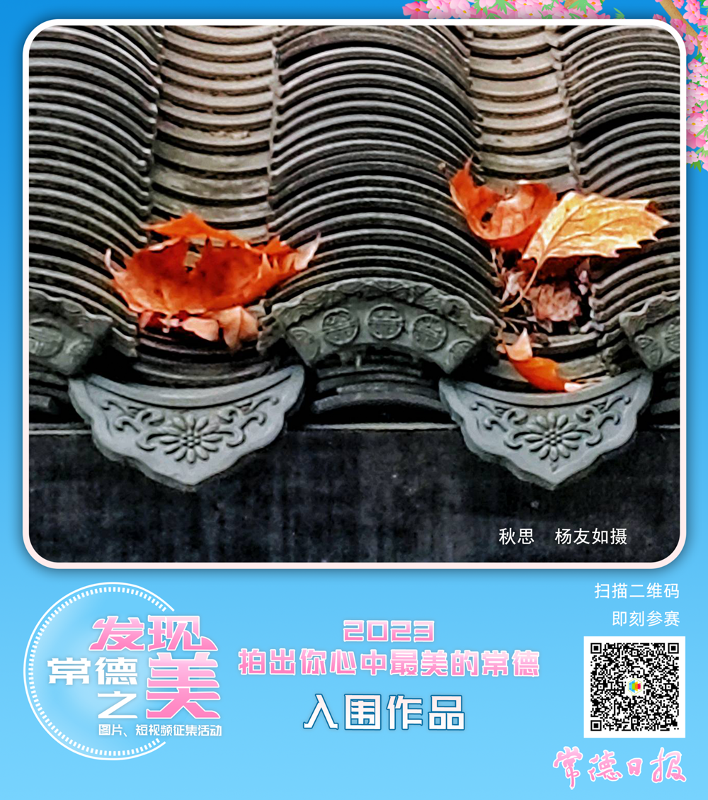 澳门新葡新京在线