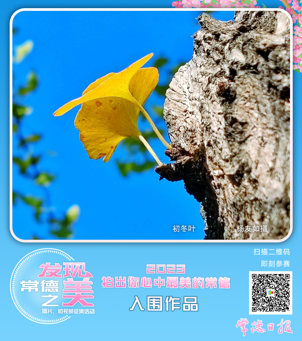 澳门新葡新京在线