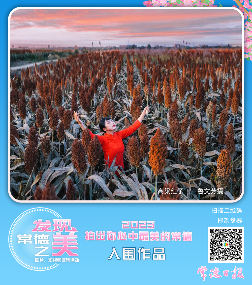 澳门新葡新京在线