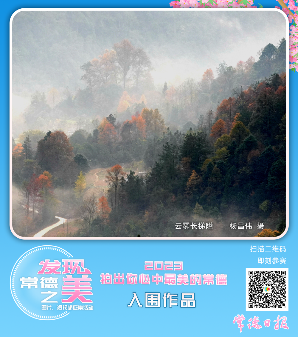 澳门新葡新京在线