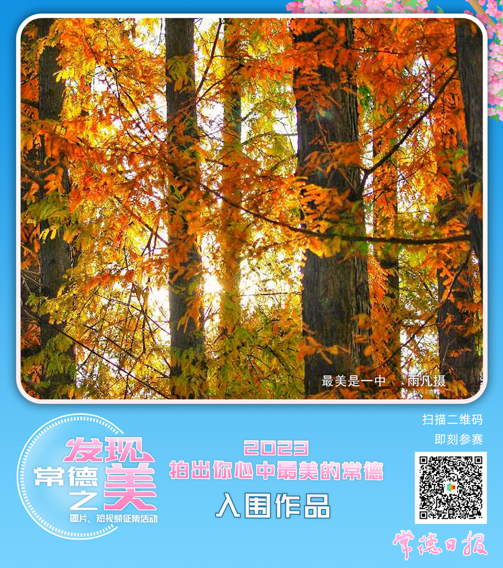 澳门新葡新京在线