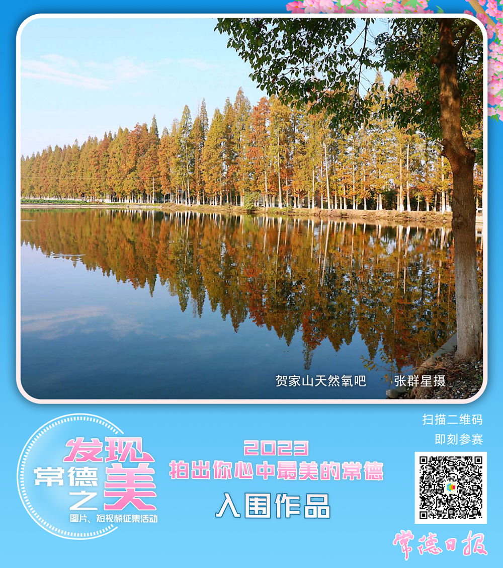 澳门新葡新京在线