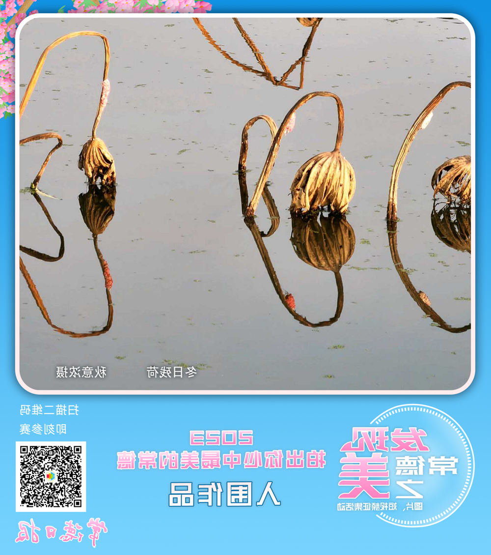 澳门新葡新京在线