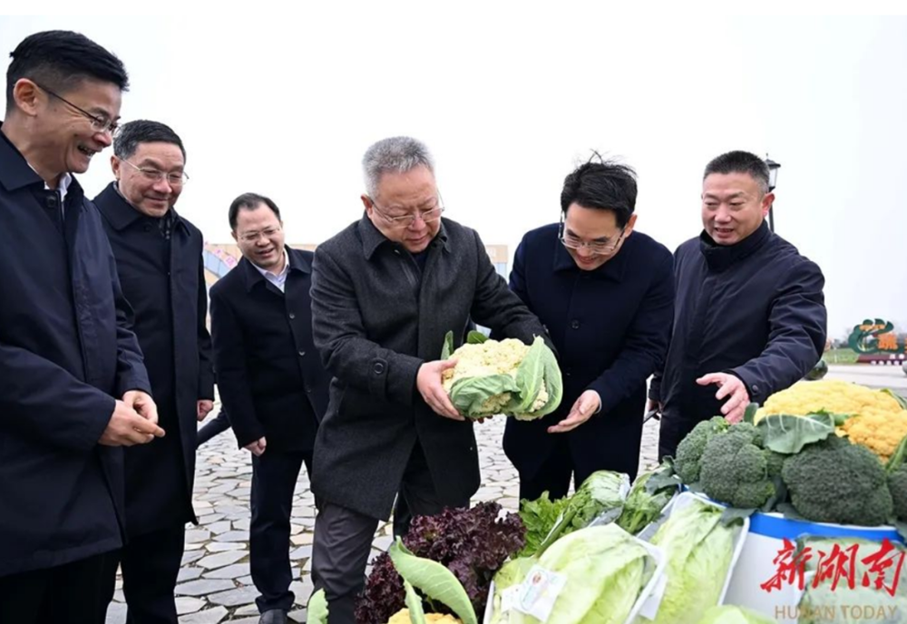 澳门新葡新京在线