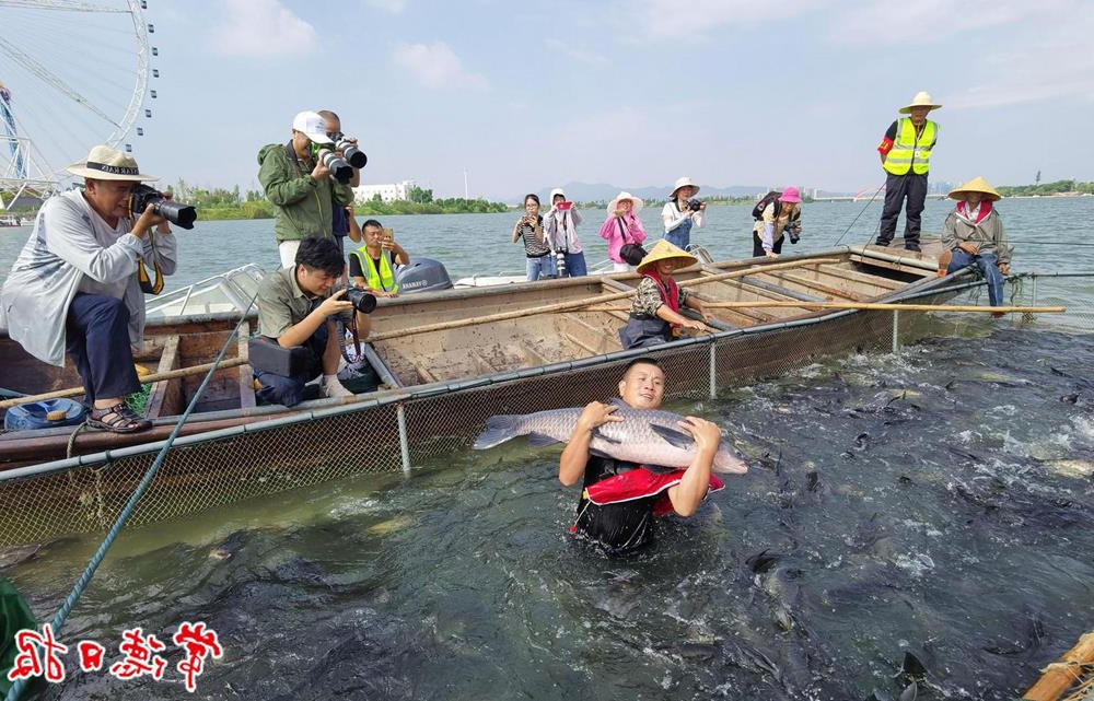 澳门新葡新京在线
