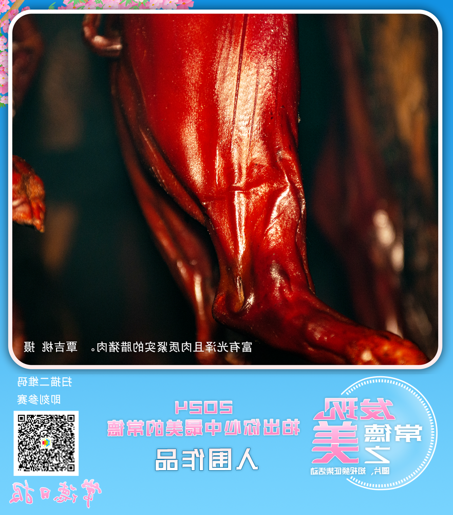 澳门新葡新京在线