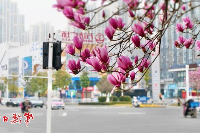 澳门新葡新京在线