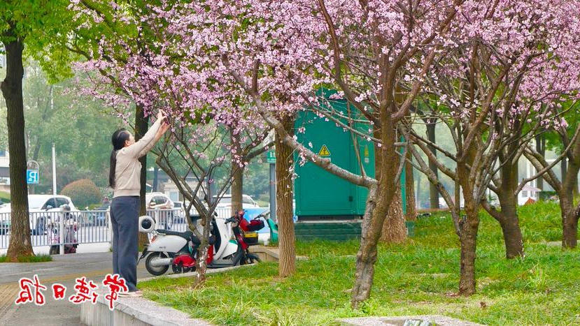 澳门新葡新京在线