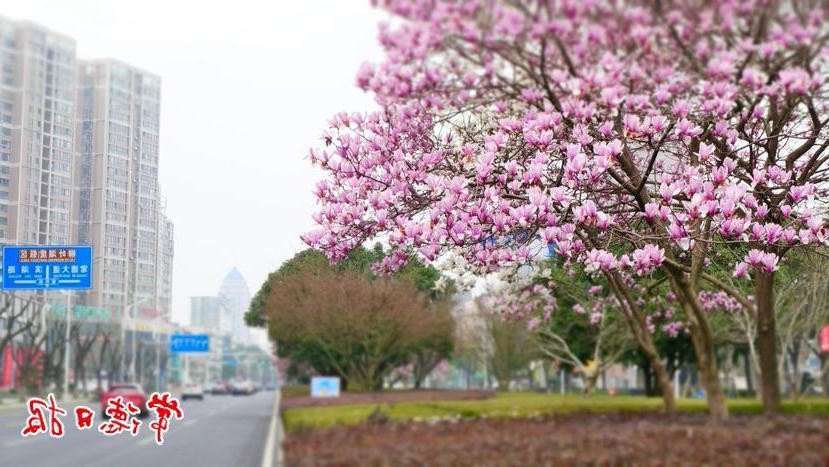 澳门新葡新京在线
