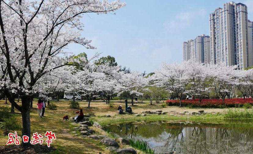 澳门新葡新京在线