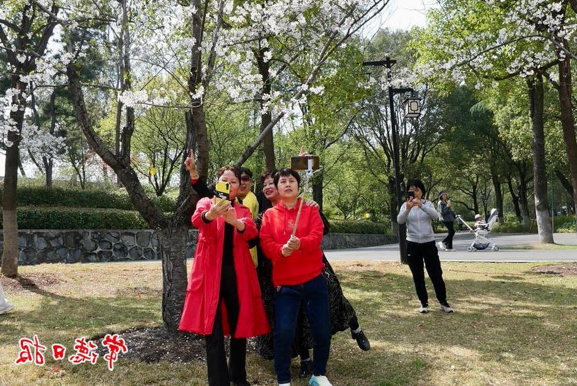 澳门新葡新京在线