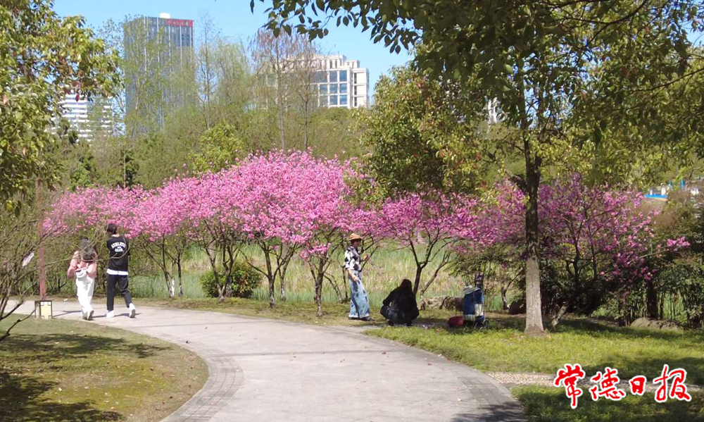 澳门新葡新京在线