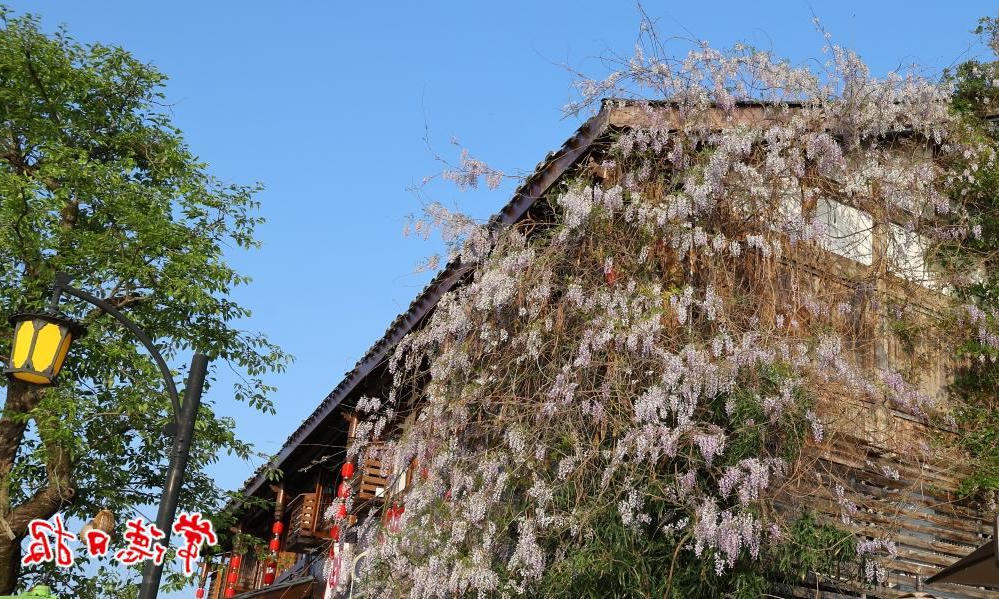 澳门新葡新京在线
