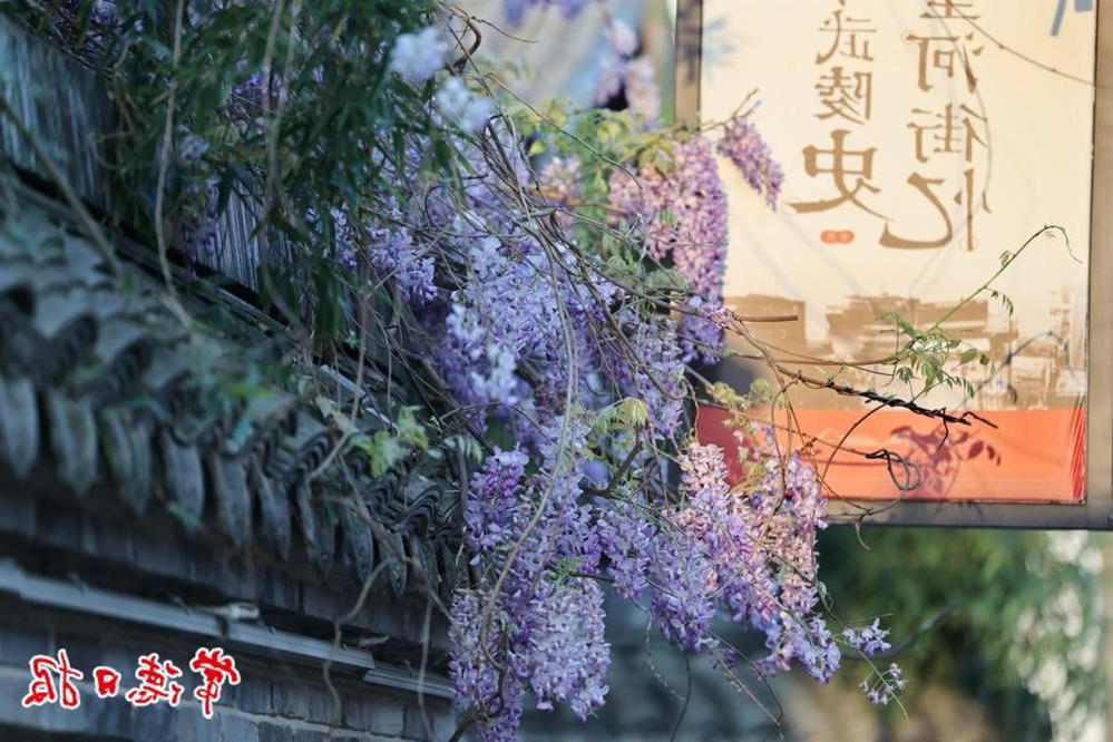 澳门新葡新京在线
