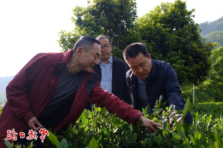澳门新葡新京在线