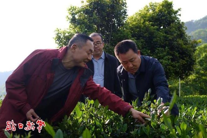 澳门新葡新京在线