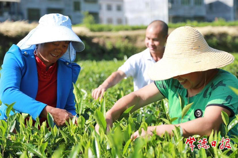 澳门新葡新京在线