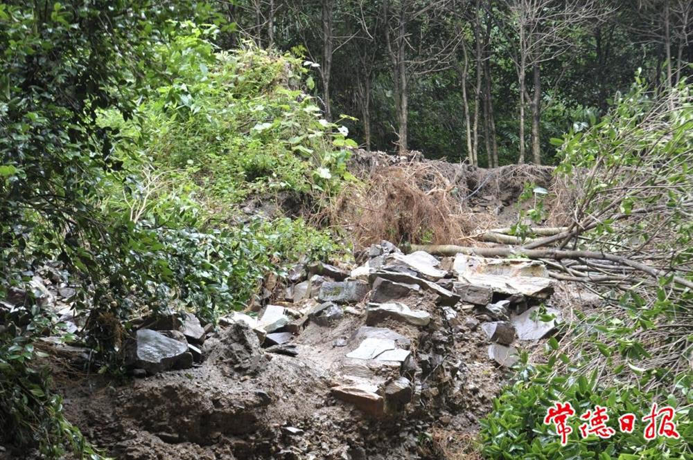 澳门新葡新京在线