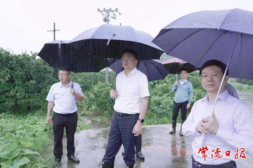 澳门新葡新京在线