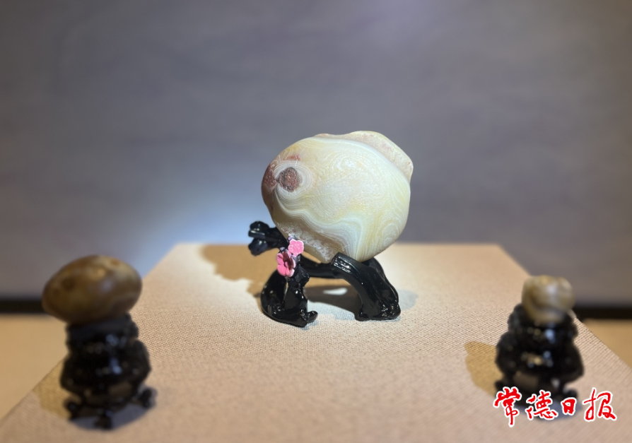 e5457c2b44cc44b5b47a0a853f24caf3.png 澳门新葡新京在线