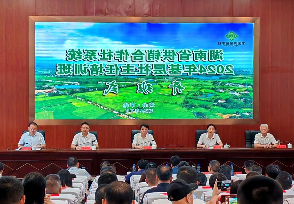 澳门新葡新京在线