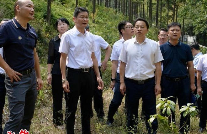 澳门新葡新京在线