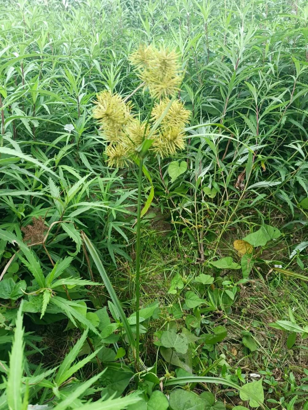 澳门新葡新京在线