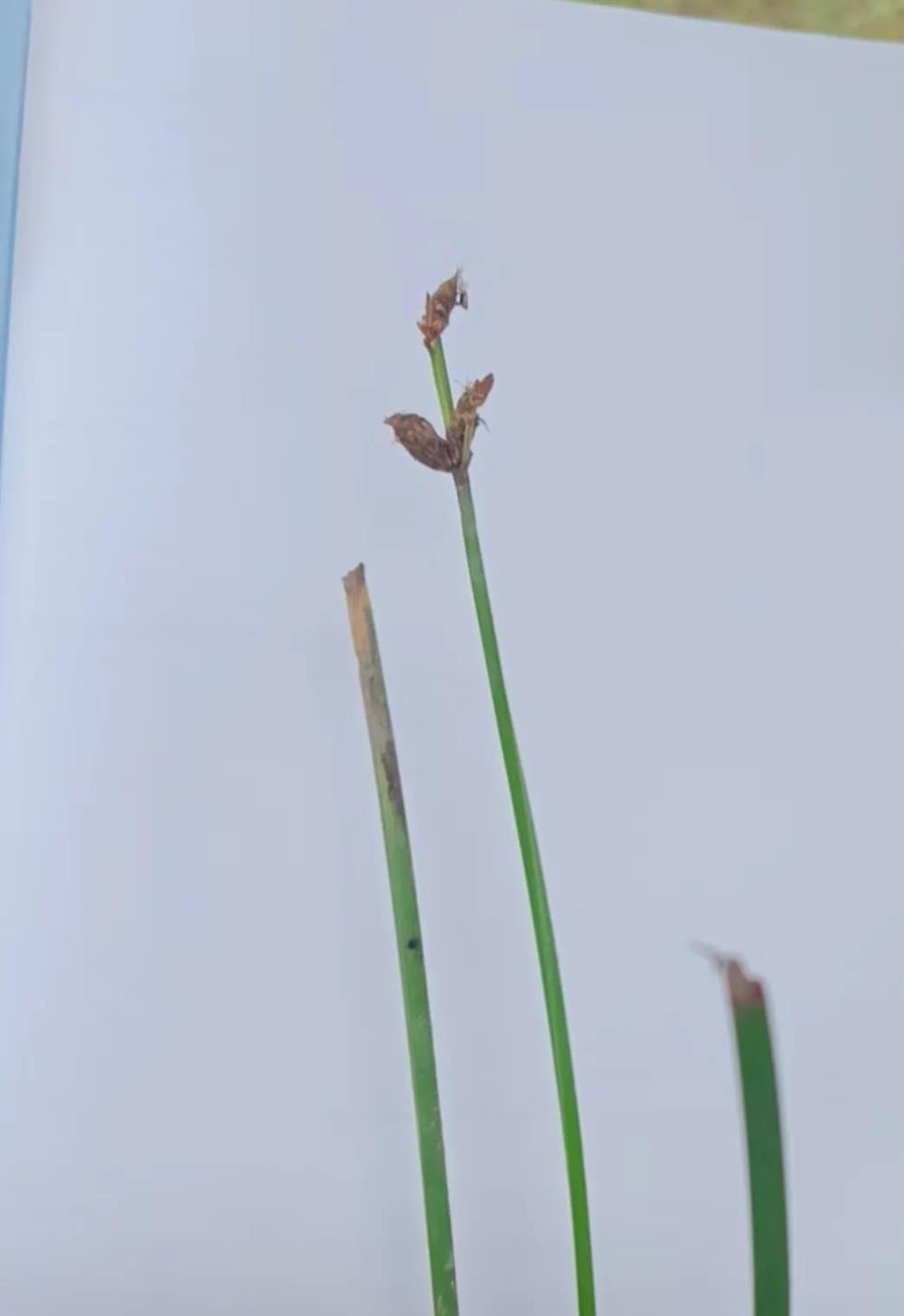 澳门新葡新京在线