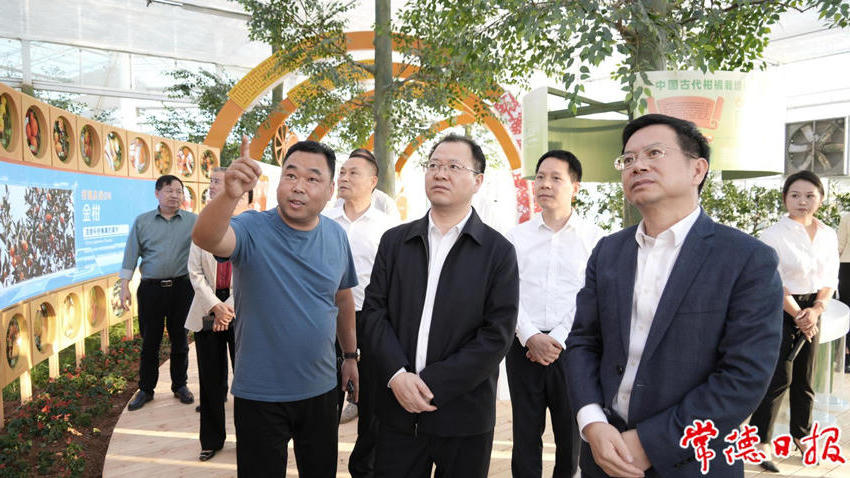 澳门新葡新京在线