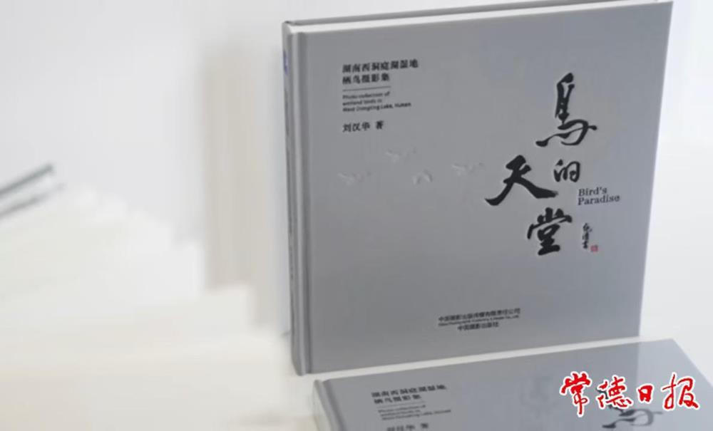 澳门新葡新京在线