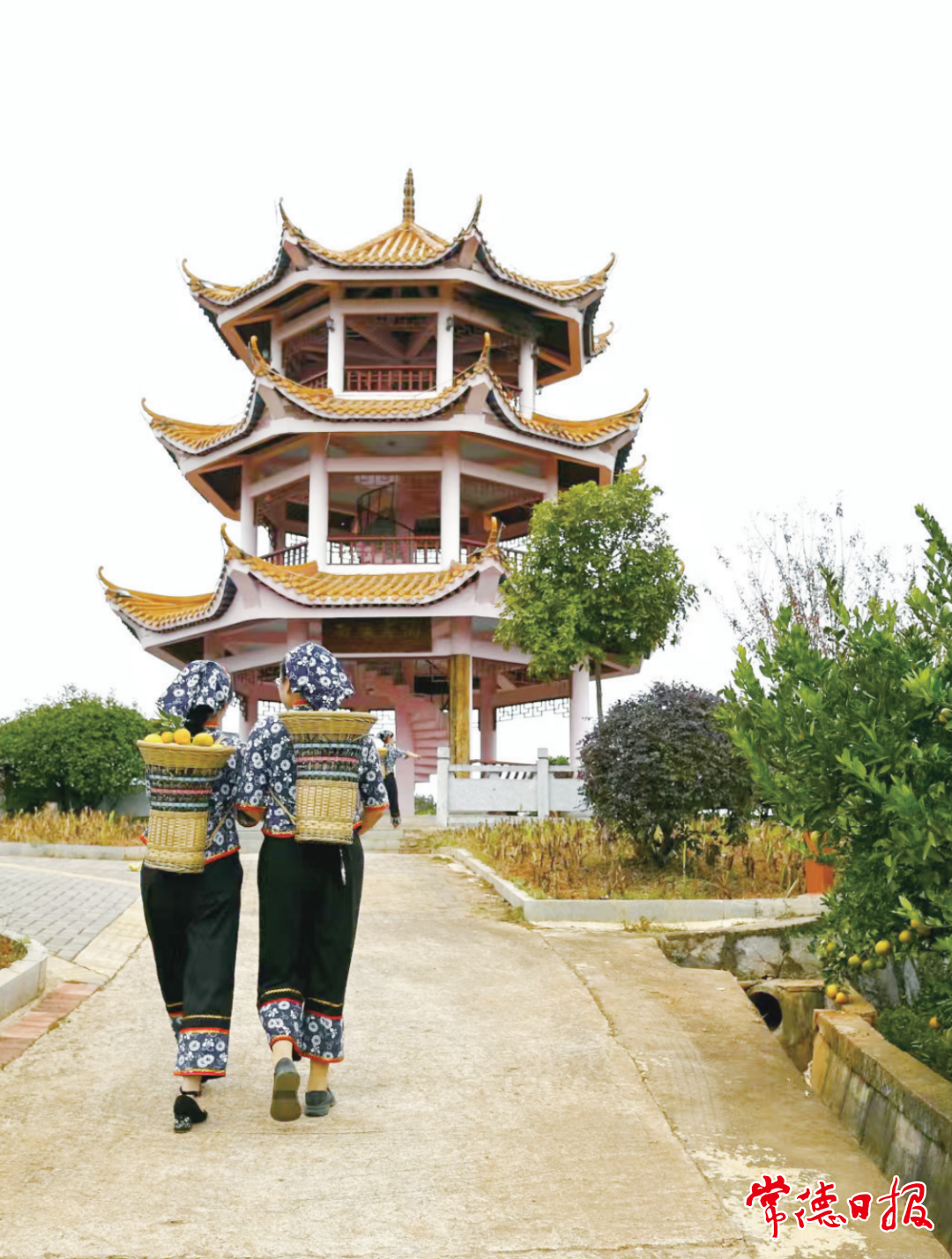 澳门新葡新京在线