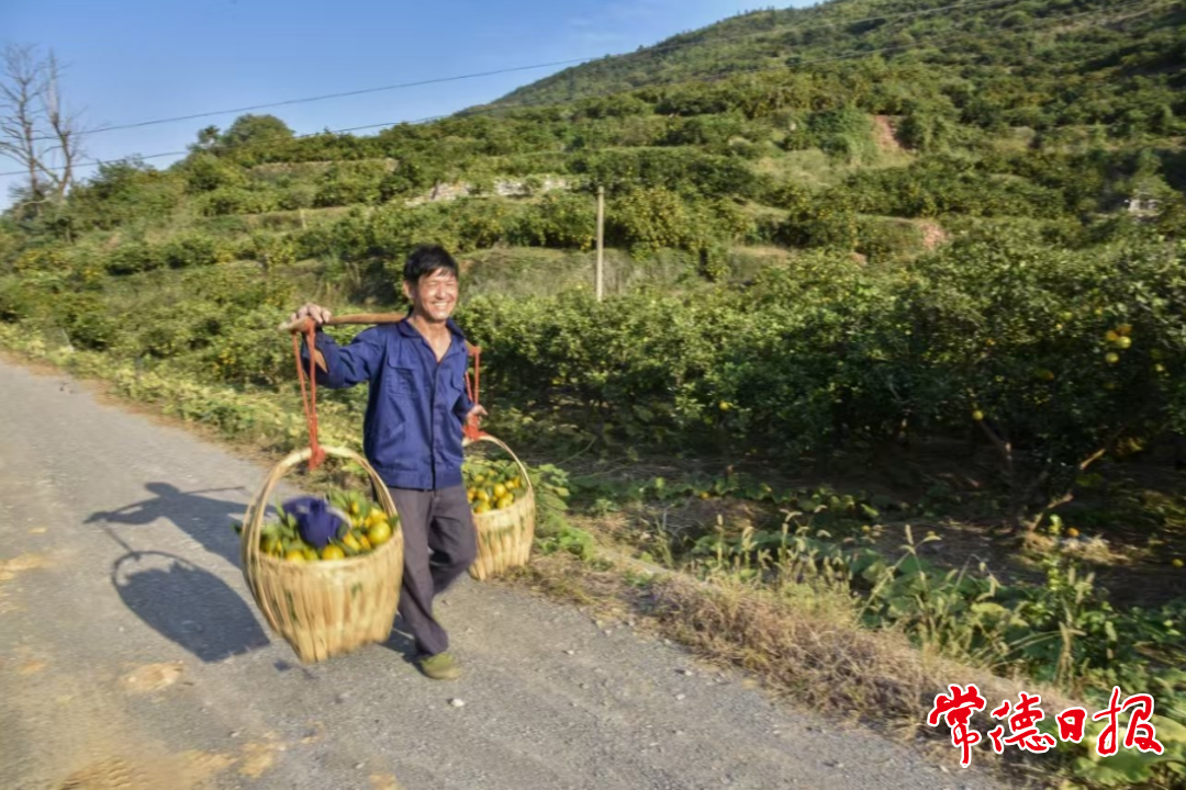 澳门新葡新京在线