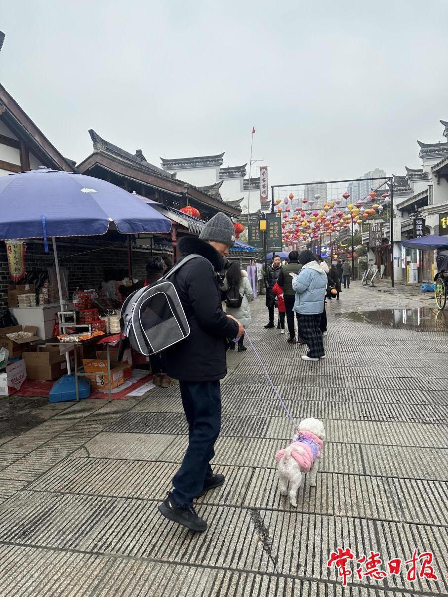 澳门新葡新京在线