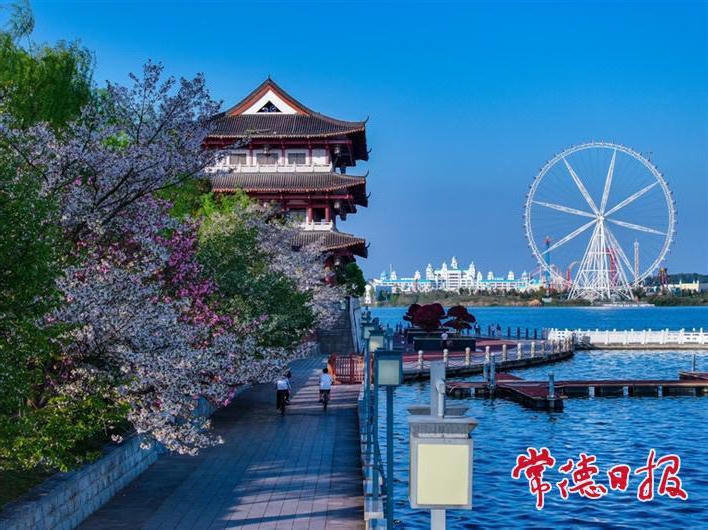 澳门新葡新京在线