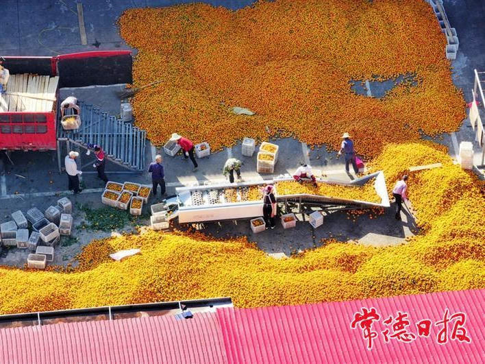 澳门新葡新京在线