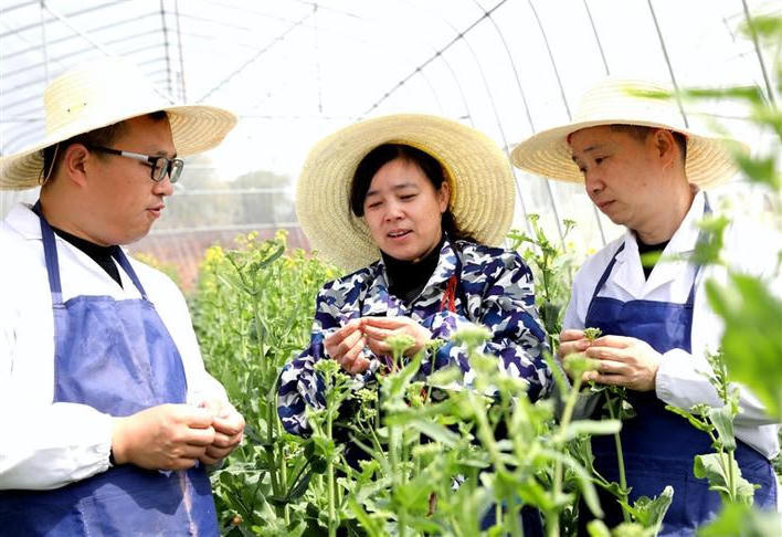澳门新葡新京在线