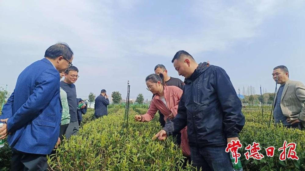 澳门新葡新京在线