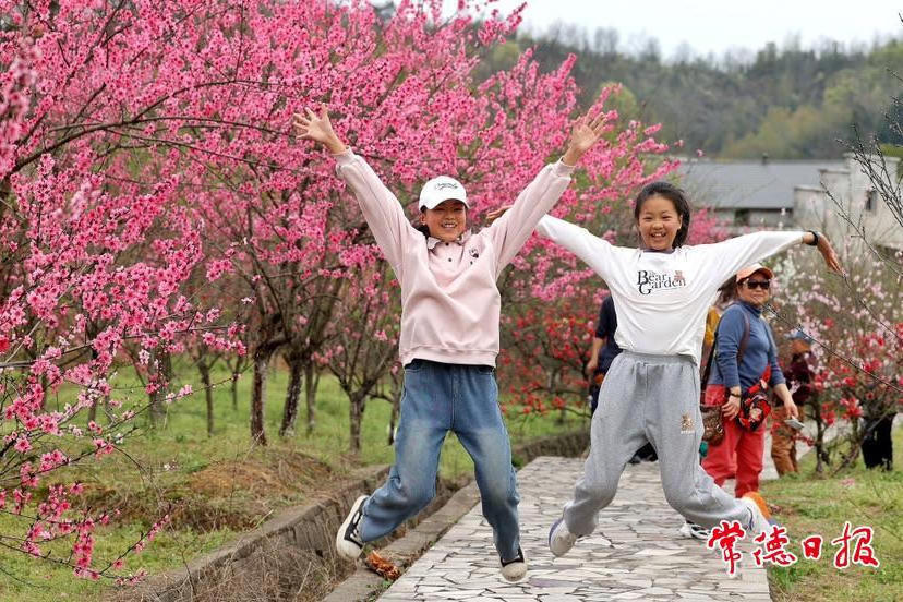 澳门新葡新京在线