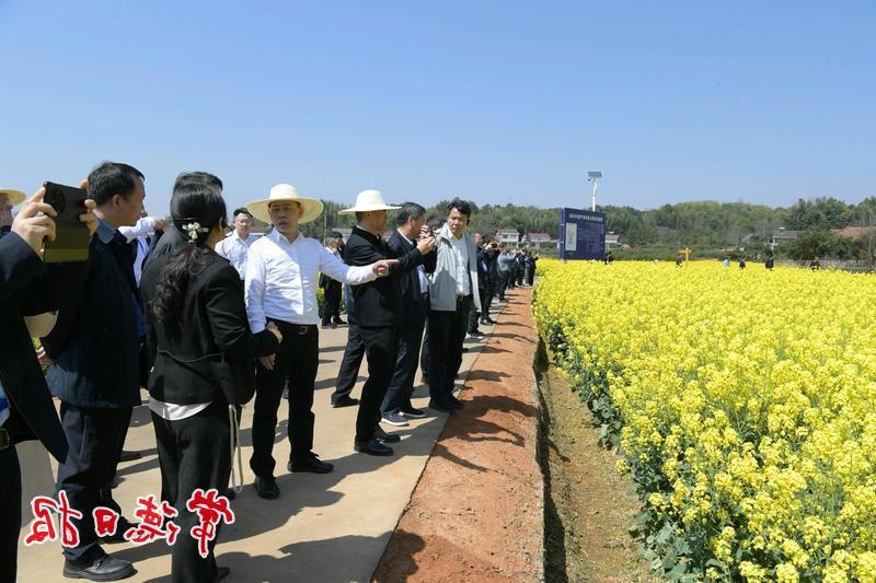 澳门新葡新京在线