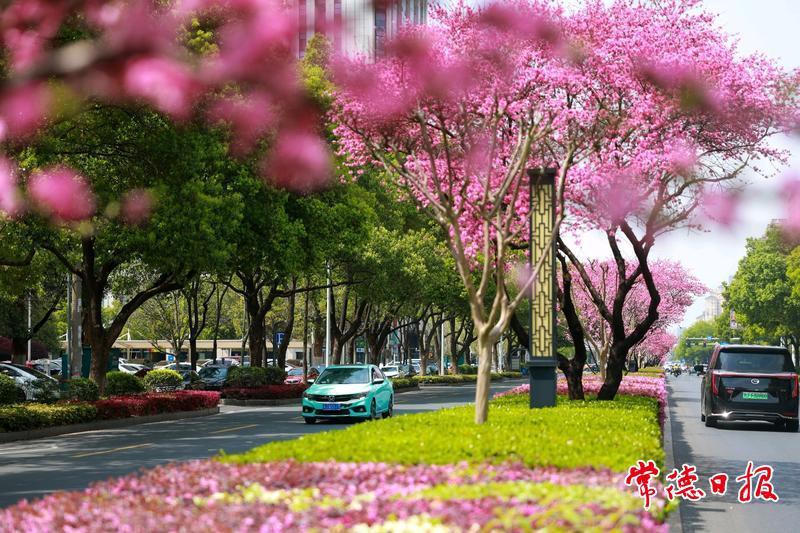 澳门新葡新京在线